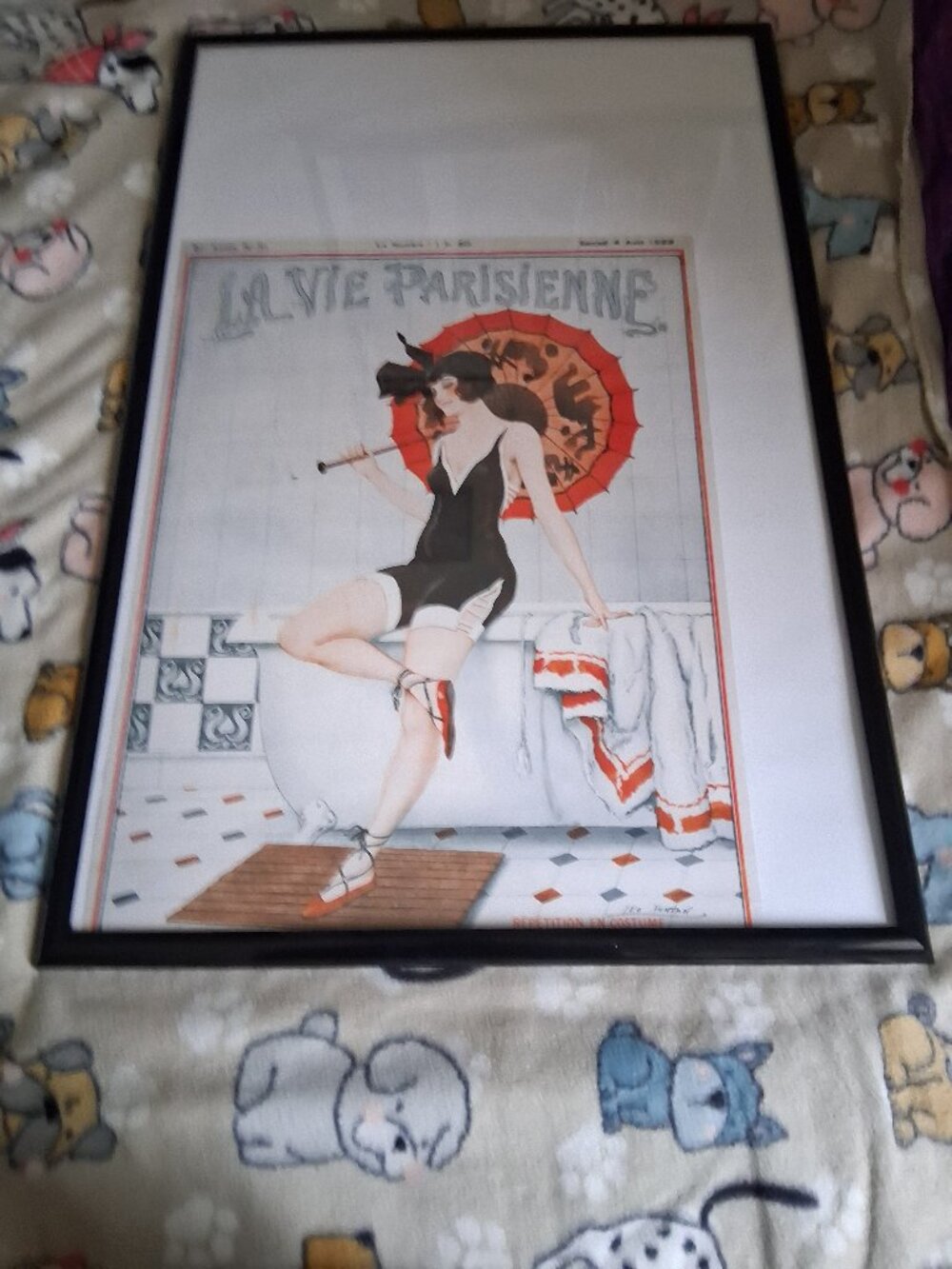stunning reprint with frame